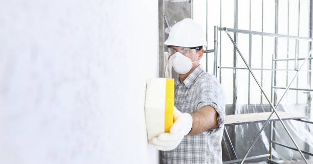 Why You Should Choose Our Mold Remediation Services in Lindsay, OK